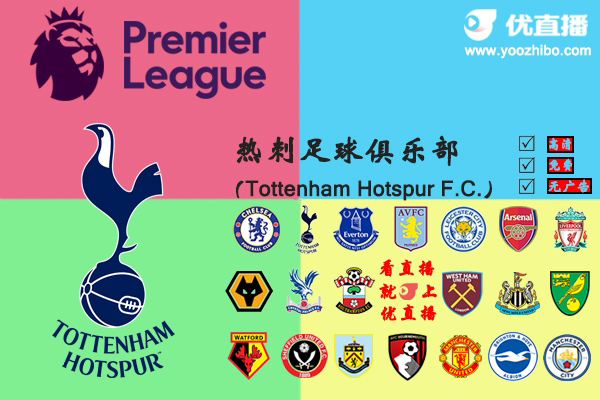 2019-20赛季<a href=/zuqiu_jingcai/hotspur/ target=_blank class=infotextkey>热刺</a>阵容名单一览